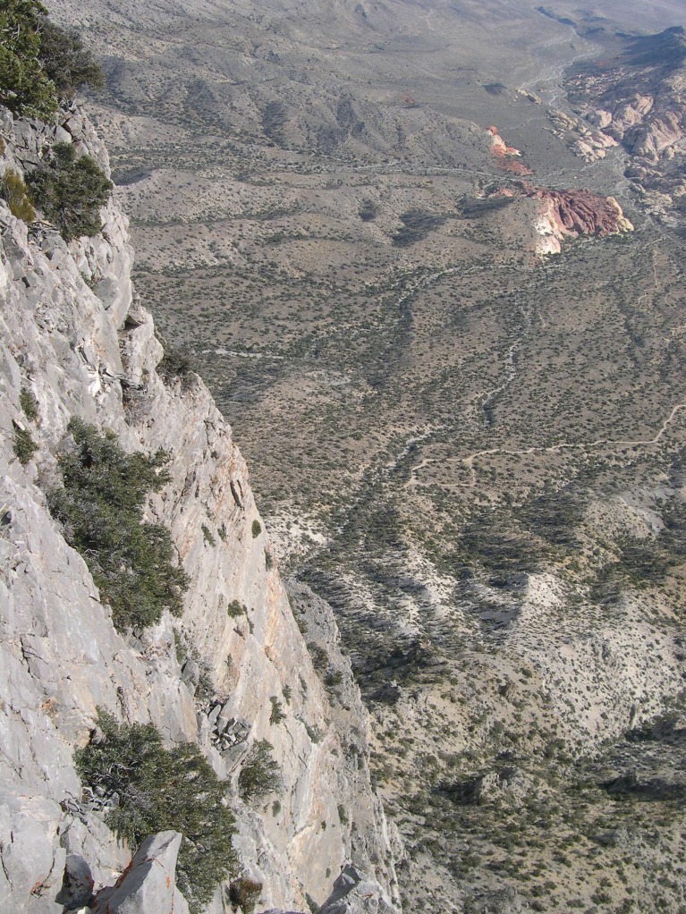 DSCN9566