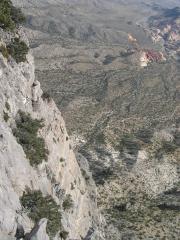 DSCN9566