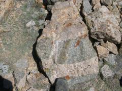 DSCN8204