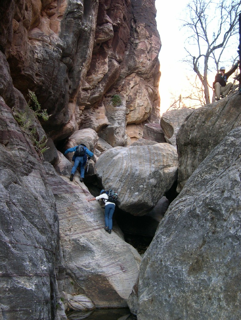 DSCN3675