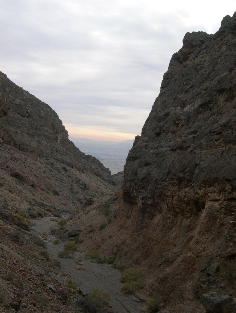 DSCN3495