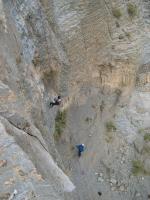DSCN3564