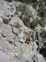 DSCN6888
