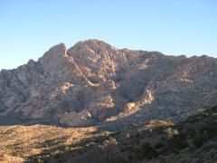 DSCN4220