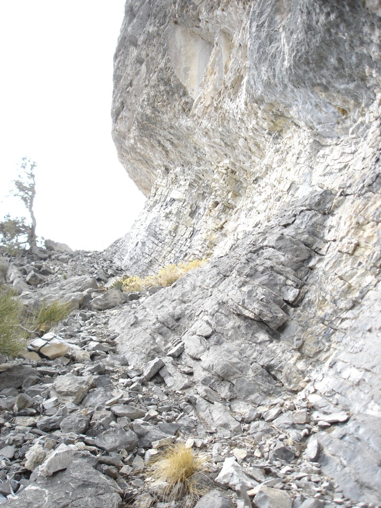 DSC09090