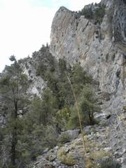 DSC09079