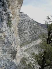 DSC09085
