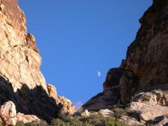 DSCN0564